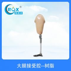 大腿接受腔--树脂