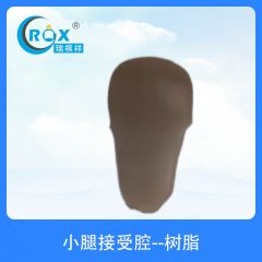 小腿接受腔--树脂